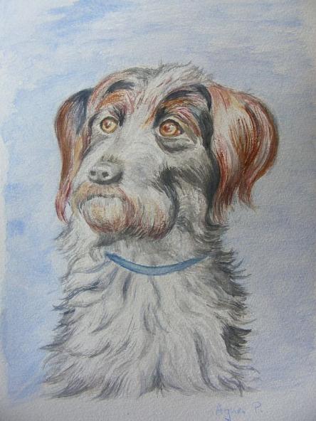 Dog - Agnes Preszler