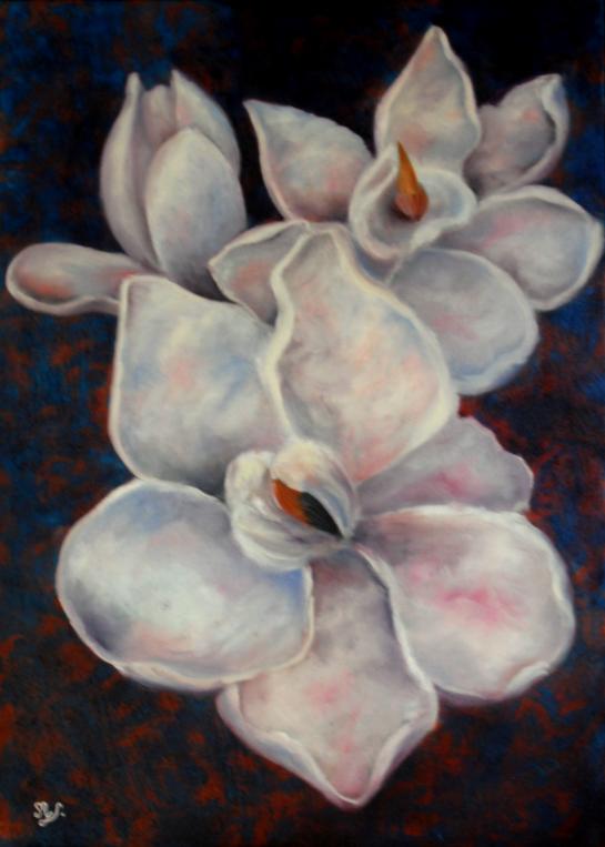 Magnolia - Martine Guillaume