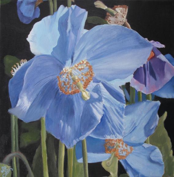 Fleurs de pavot bleues - Martine Guillaume