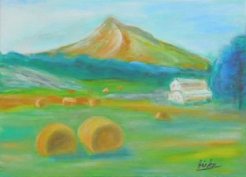 Plateau de Caussols - Vickx