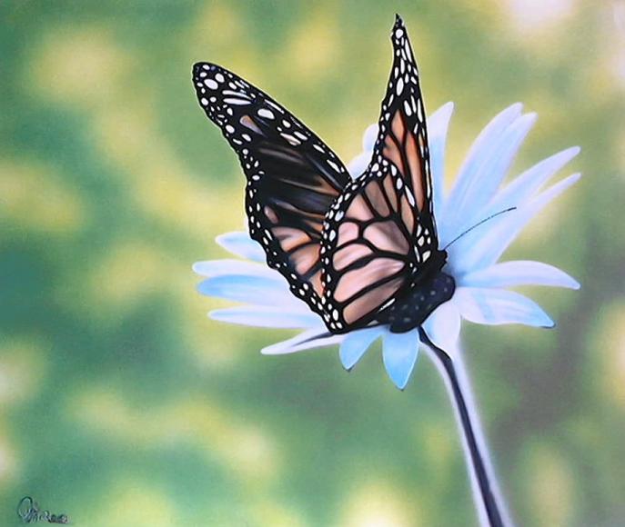 flutterbye - Ovidio Direttore - Click to enlarge