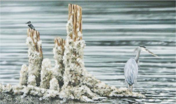 pomo Heron - Ovidio Direttore - Click to enlarge