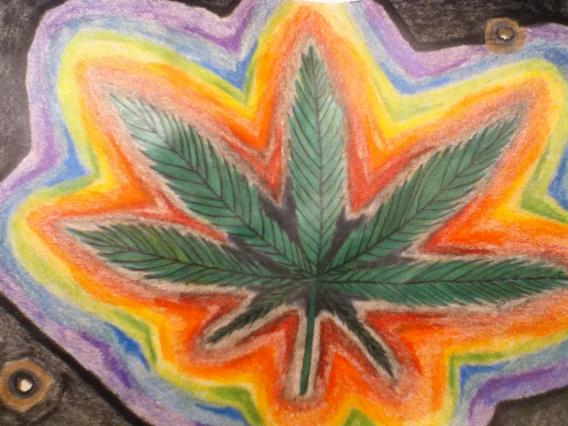 Pot Leaf - Kim Bailey