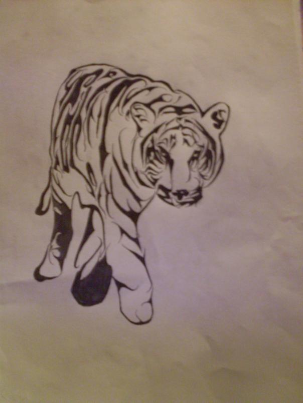 Tiger Tattoo - Kim Bailey - Click to enlarge