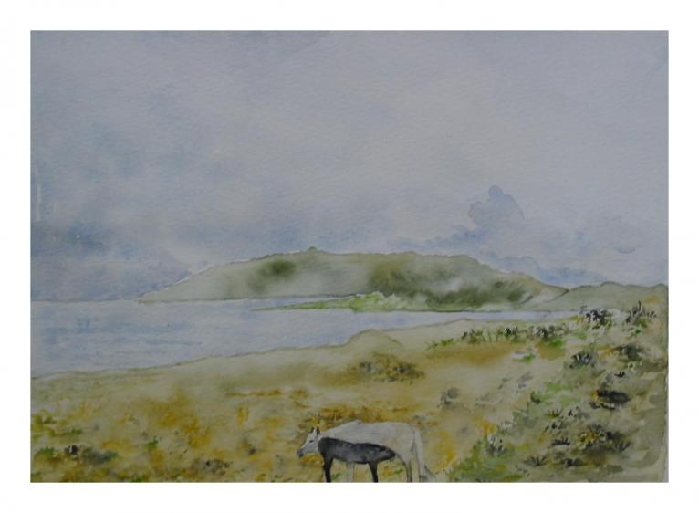 paysage au poulain - Denise Geneviève Levi Valensi - Cliquer pour afficher en grand
