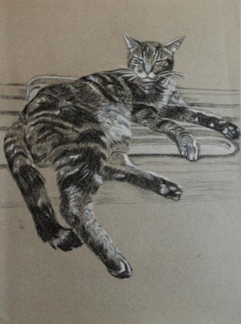 Chat aimé - Katia Noin-Ledanois