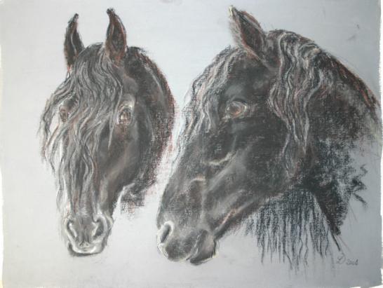 frison carlos - Claire Deschamps