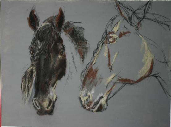 frison - Claire Deschamps
