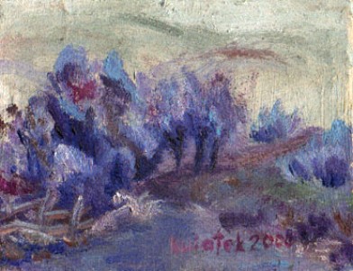 woods - Edyta Kwiatek