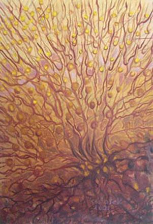 Brown2 - Edyta Kwiatek