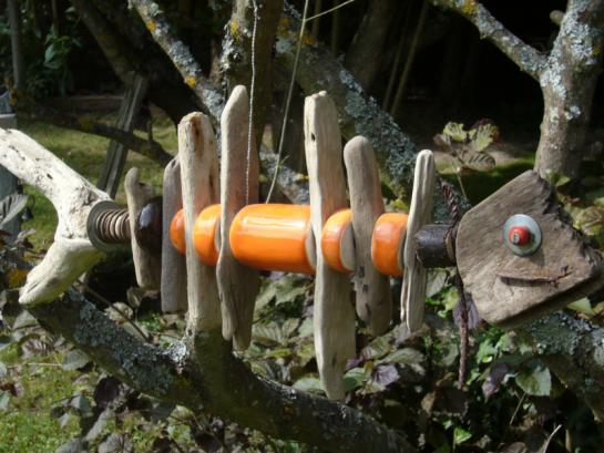 Le Poisson Orange - Sandrine Veirman