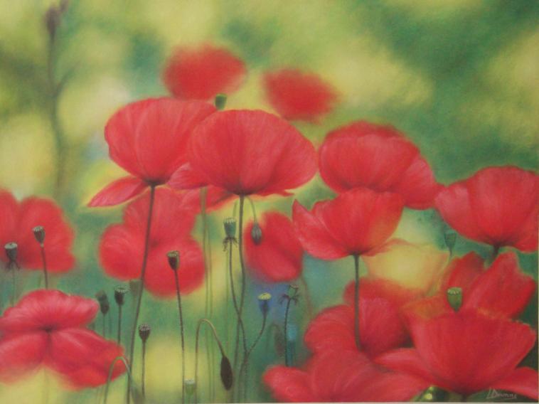 Les coquelicots - Laure Deronne - Click to enlarge
