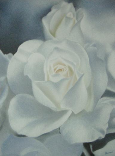 Rose blanche - Laure Deronne