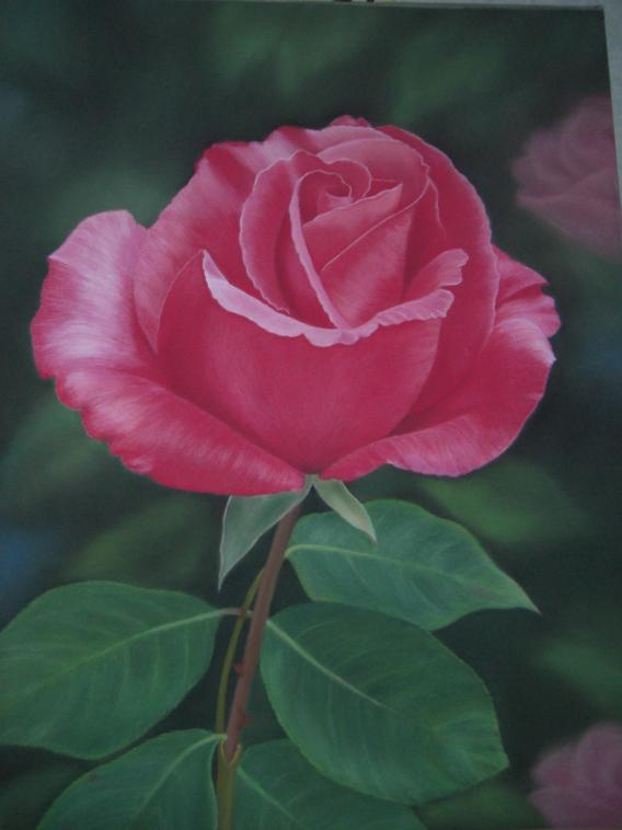 Rose rouge - Laure Deronne