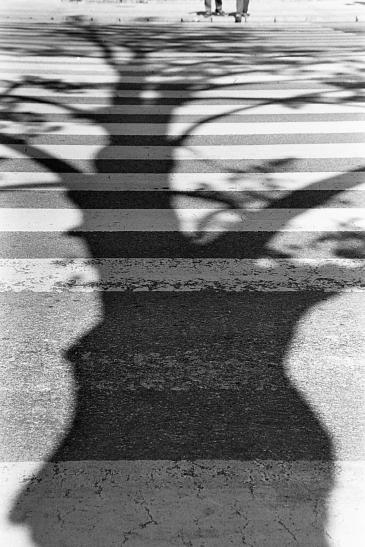 ombres 1 - Françoise Valéry
