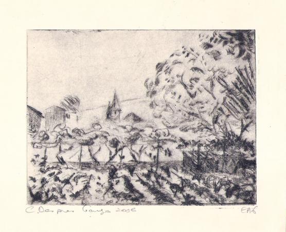 Vignes à Ganges - Caroline Despres-Garnier