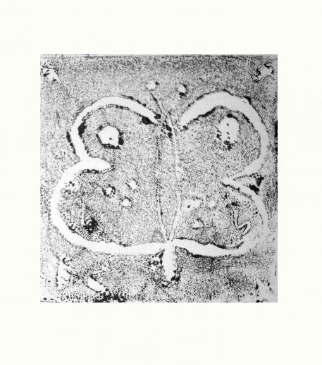 Papillon. - Caroline Despres-Garnier