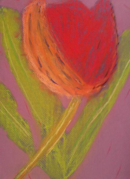 Tulipe - Caroline Despres-Garnier