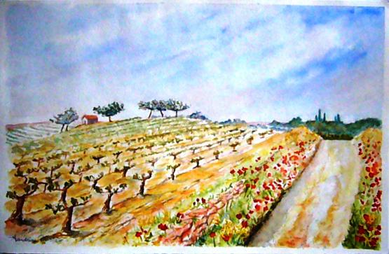 Chemin aux coquelicots - Lusand