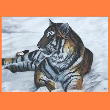 LE TIGRE DE SIBERIE - Stéphane Fievre