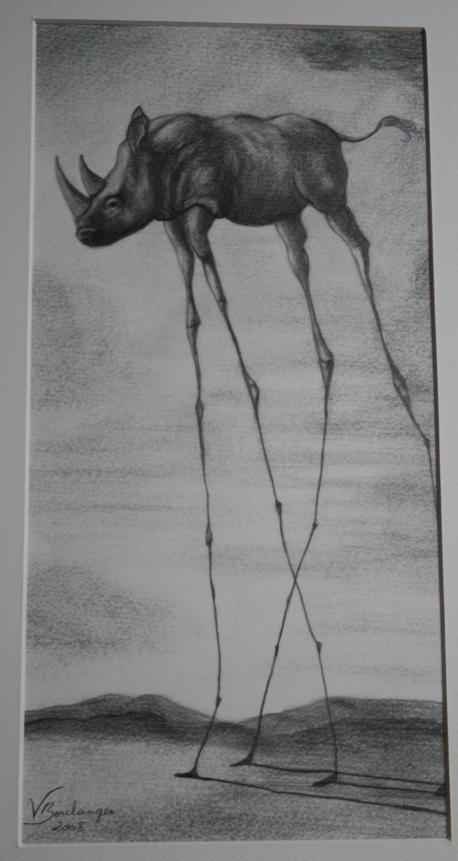 Rhinocéros échassier - Véronique Boulanger