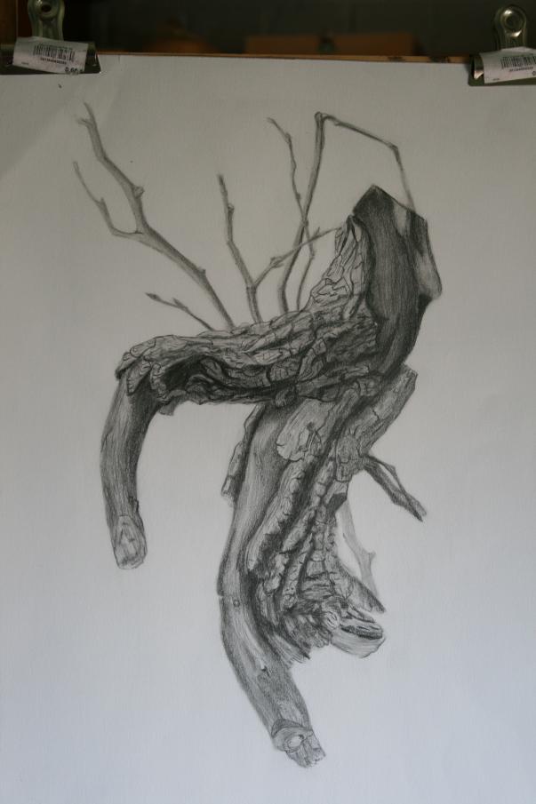 la souche - Véronique Boulanger - Click to enlarge