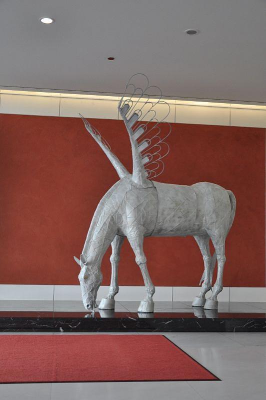 Pegasus - Martin Navrátil