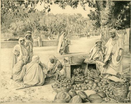 le vendeur de courges - Chafik Kadi