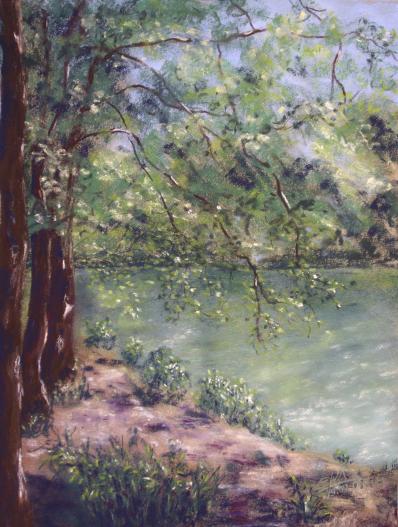 Un coin de nature - Ghislaine Mitaine