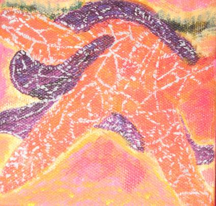 Star Fish In Love - Salvatore Valenti
