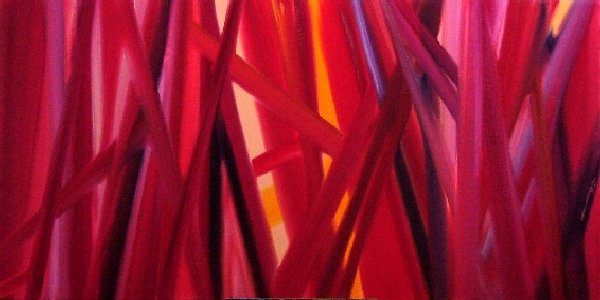 Discontinuité de l'âme - Gérard Cavazza - Cliquer pour afficher en grand
