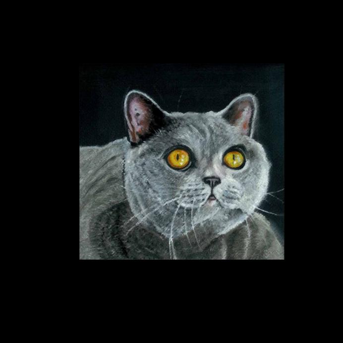 Chartreux - Marie-Claude Vedrenne - Click to enlarge
