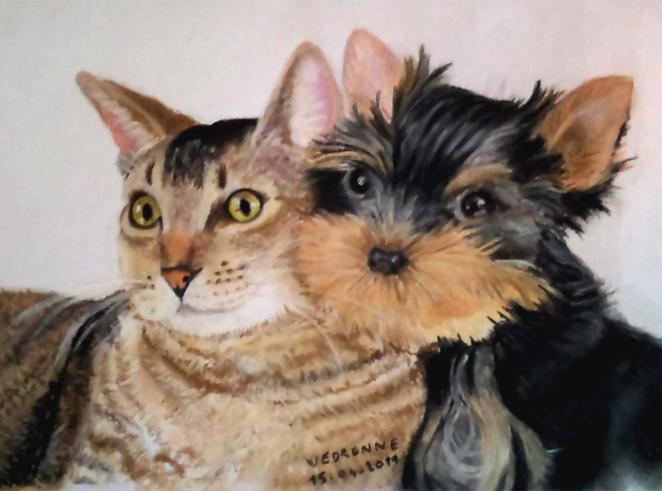 Chien et chat - Marie-Claude Vedrenne - Click to enlarge