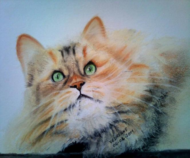 Chat - Marie-Claude Vedrenne - Cliquer pour afficher en grand