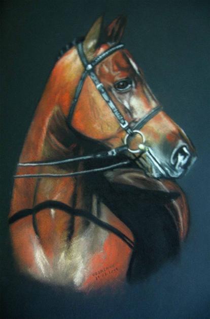 Cheval - Marie-Claude Vedrenne