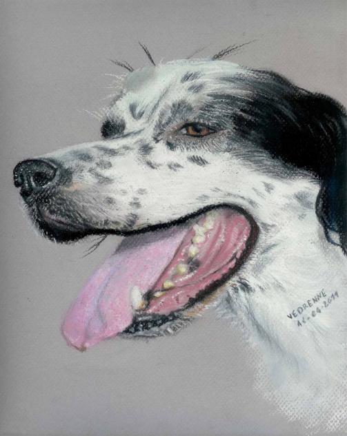 Chien de chasse - Marie-Claude Vedrenne