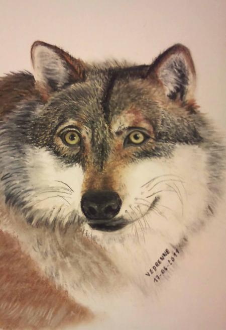 Loup - Marie-Claude Vedrenne
