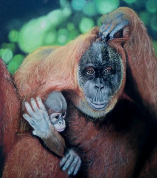 Oran outang et son petit - Marie-Claude Vedrenne