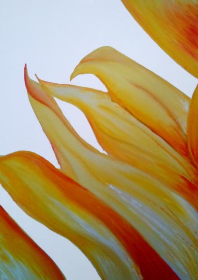Les fleurs - Marie-Claude Vedrenne