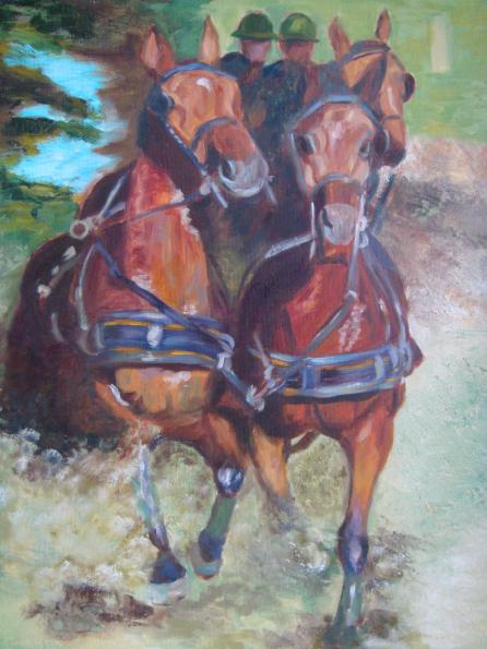 chevaux - Muriel Mijo