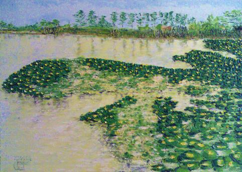 waterlilyhill - Dragan Gavric