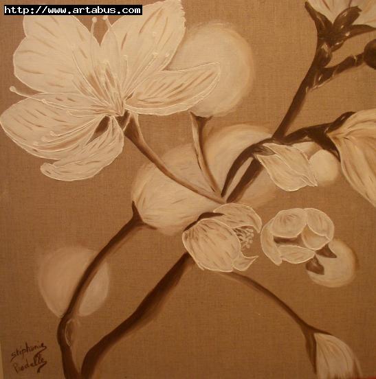 Fleurs de pommier - Stephanie Pradelle