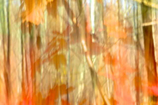 Automne - Norbert Leblanc - Cliquer pour afficher en grand