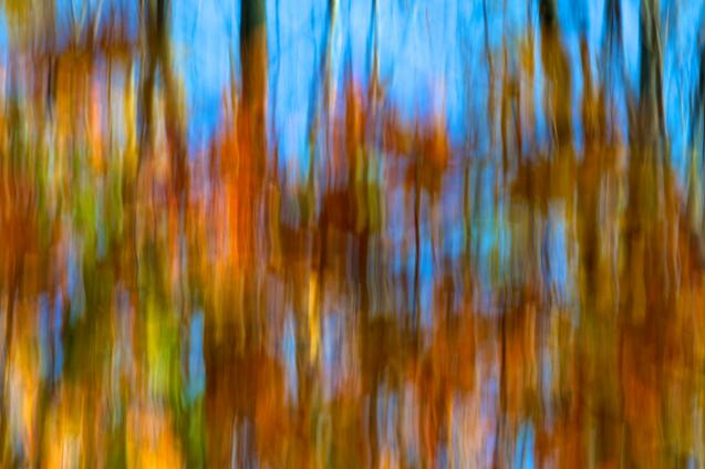 Feux-folets - Norbert Leblanc - Click to enlarge