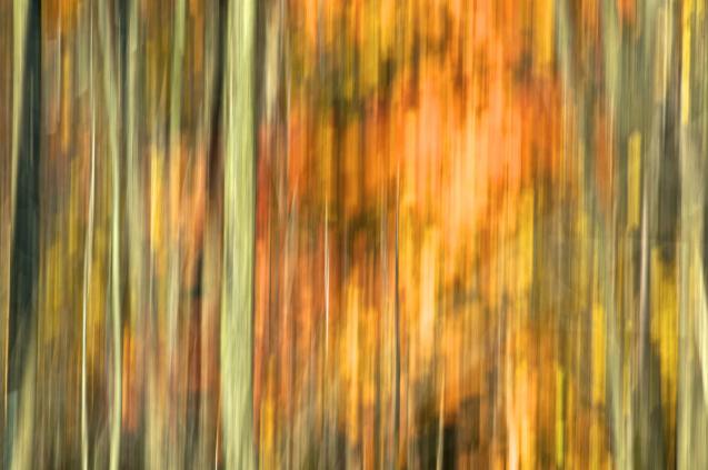 Couleurs de feu - Norbert Leblanc - Cliquer pour afficher en grand