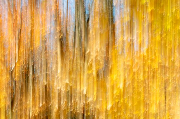 Douces couleurs d'octobre - Norbert Leblanc - Click to enlarge
