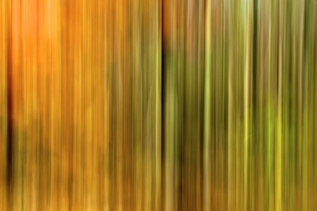 Beauté de la nature - Norbert Leblanc - Click to enlarge