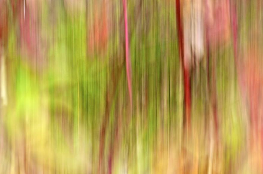Nature féminine - Norbert Leblanc - Click to enlarge