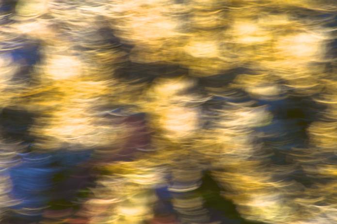 Fleurs d'automne - Norbert Leblanc - Click to enlarge