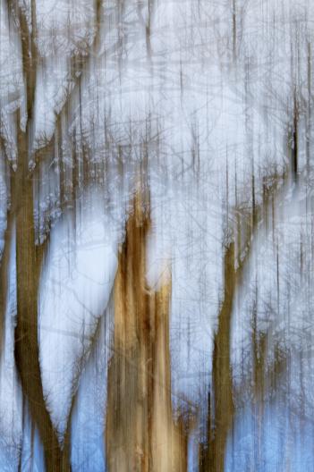 La beauté de l'hiver - Norbert Leblanc